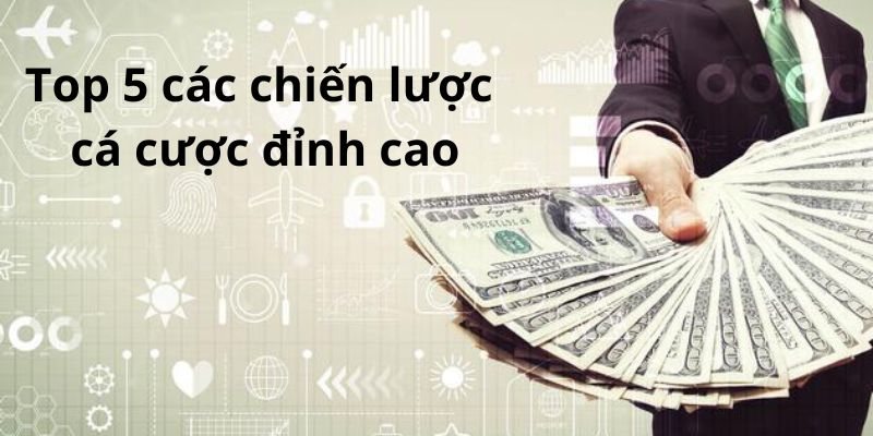 Học hỏi liên tục từ cộng đồng giúp người chơi có thêm kiến thức cá cược