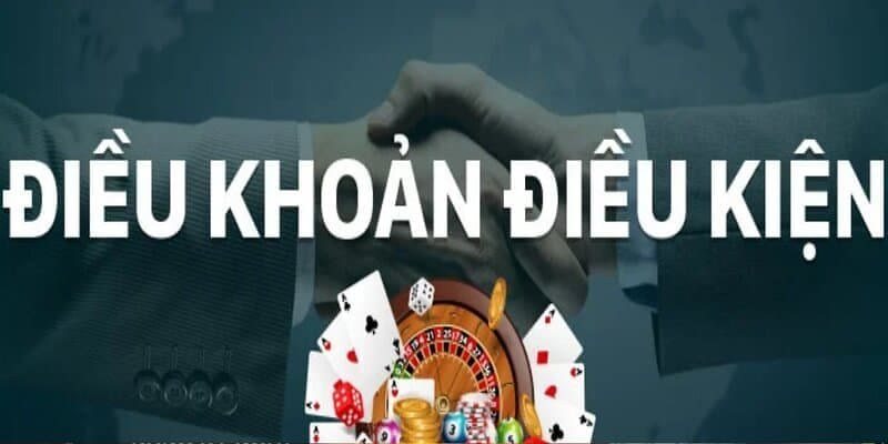 Giới thiệu chung về điều khoản điều kiện 58Win cho tân binh cá cược
