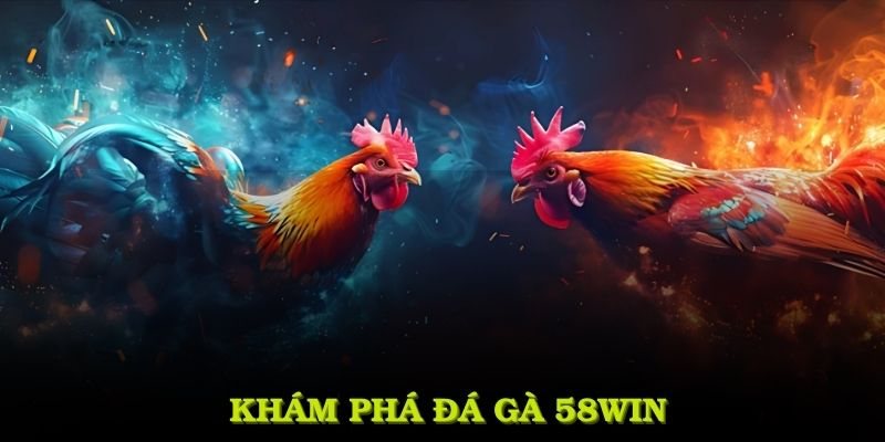 Đá gà 58Win là một trong những hình thức giải trí hấp dẫn bậc nhất