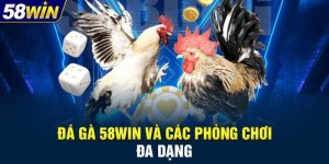 Đá gà 58Win – Sảnh đấu đỉnh cao cho người đam mê cá cược