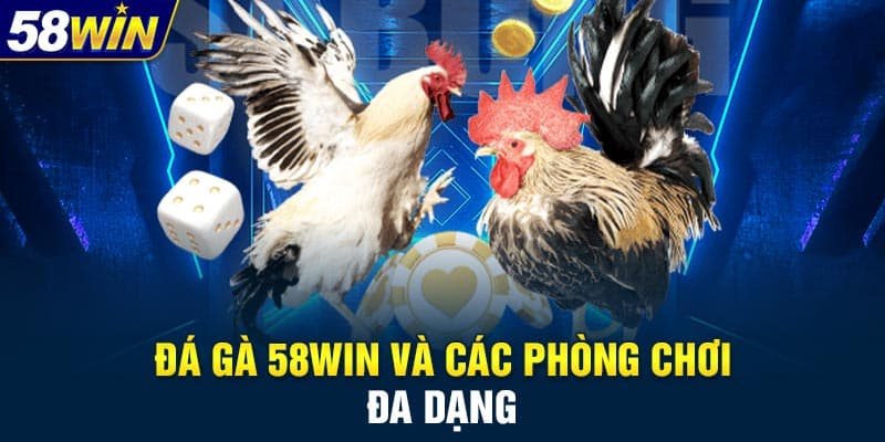 Đá gà 58Win – Sảnh đấu đỉnh cao cho người đam mê cá cược